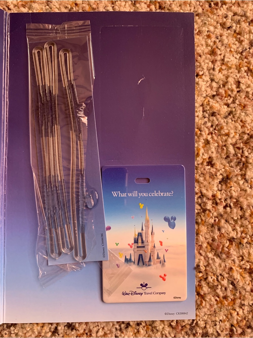 Disney Luggage Tag
